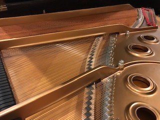 Steinway Piano
